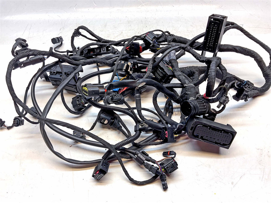 2015 BMW R1200GS Main Wiring Harness Loom - 61118350515