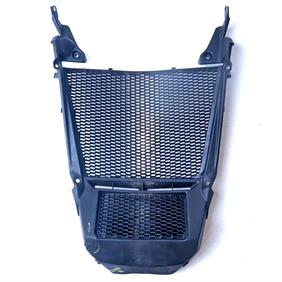 2021 BMW S1000XR Radiator Guard - 77318414688