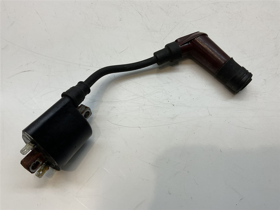 2019 Triumph Street Twin Short Coil Assembly - T1290308