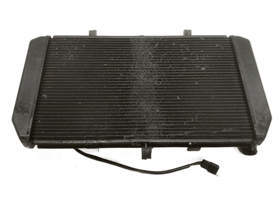 2013 Kawasaki Z800 Radiator & Fan 390600062