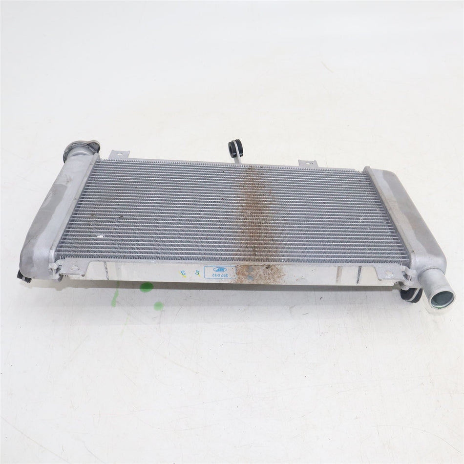 2024 KAWASAKI NINJA ZX4RR Radiator  - 390600758