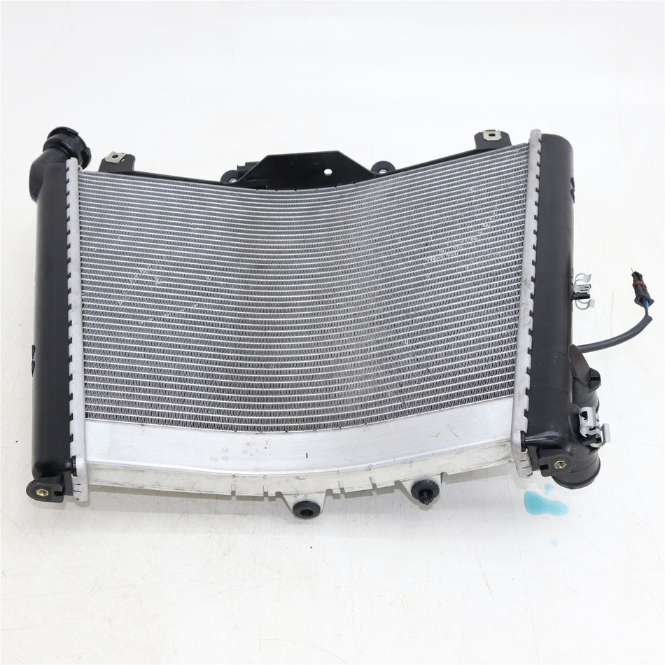 2024 BMW M1000R Radiator - 835680405