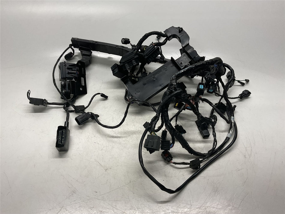 2016 Triumph Street Triple 675 R Main Loom - T2508077