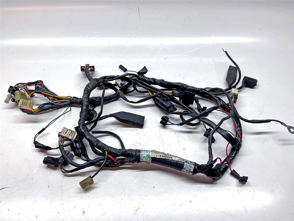 2000 Triumph Thunderbird Wiring Harness - T2500171