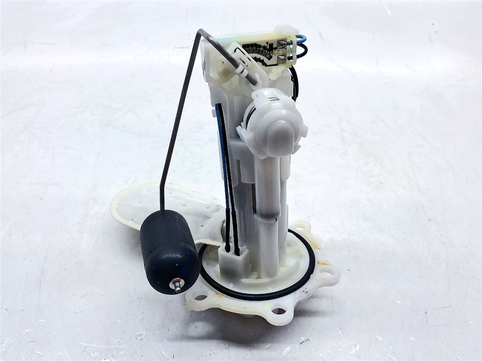 2024 Triumph Scrambler 400X Fuel Pump - TA171801