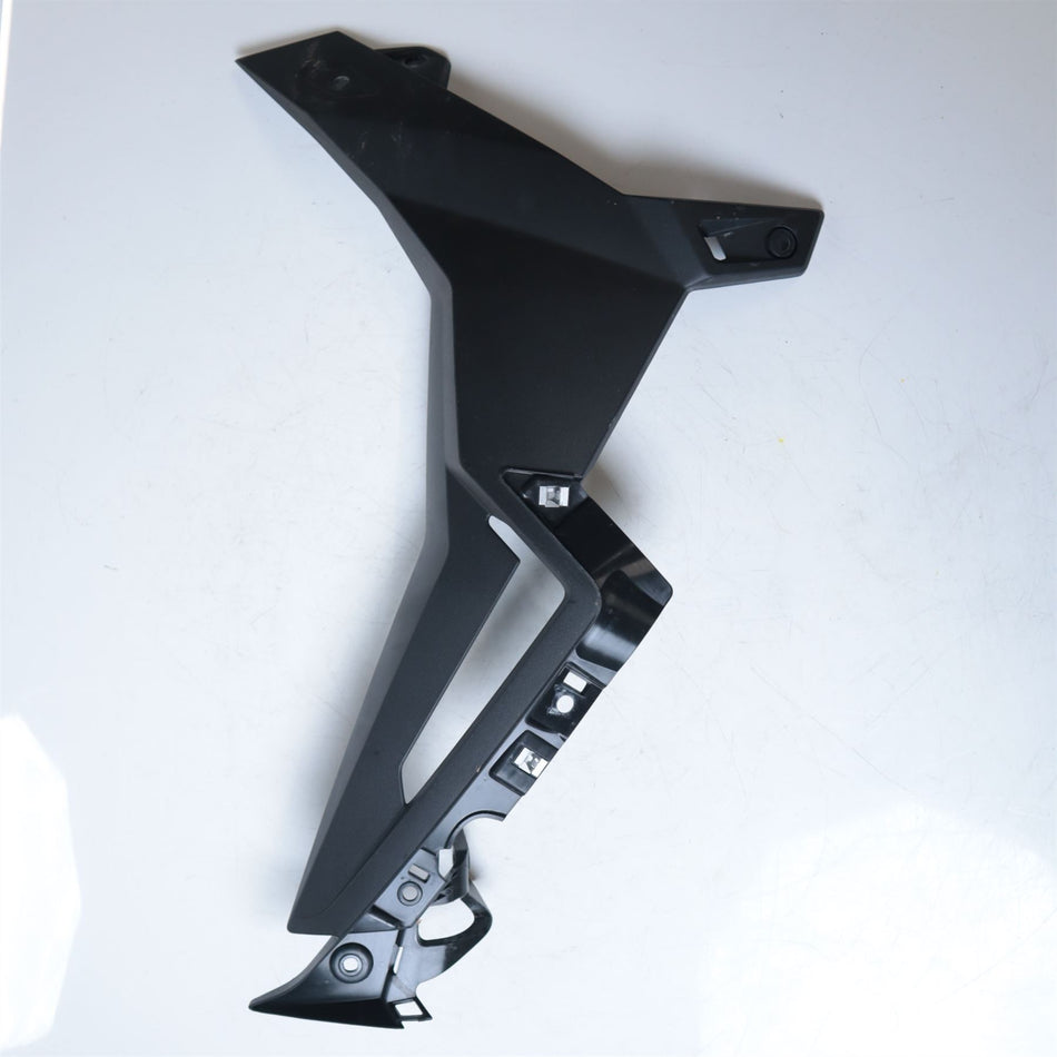 2021 BMW S1000R Right Rad Cowl - 46638393626
