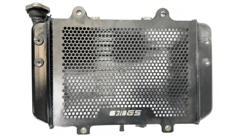 2019 BMW G310GS Radiator 17118554999