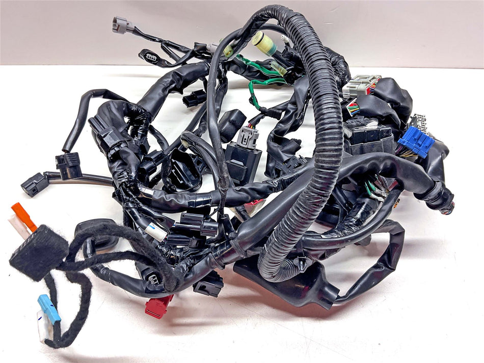 2024 Honda CL500 Wiring Harness Loom - 32100MLPDA0