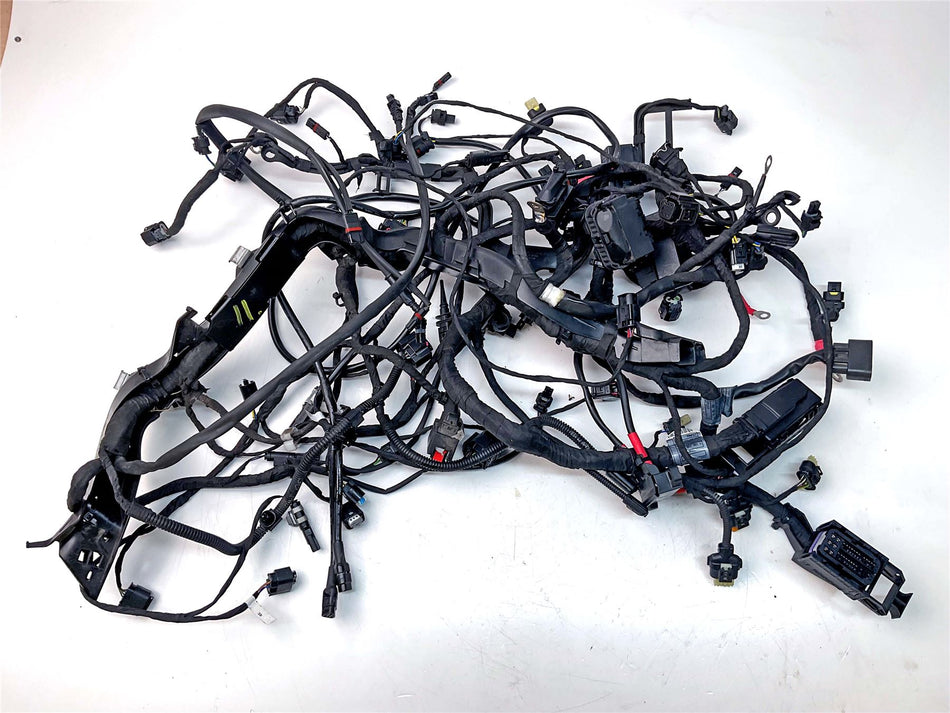 2021 BMW R1250GS Adventure Main Wiring Loom - 61111683766