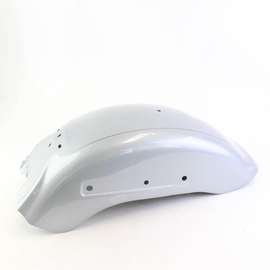 2019 HARLEY-DAVIDSON FLFBS FAT BOY 114 Rear Fender Mudguard - 59500532ENO