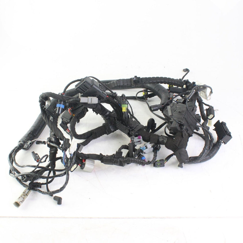 2005-2017 HARLEY-DAVIDSON FXDBC STREET BOB Wiring Harness - 69201242