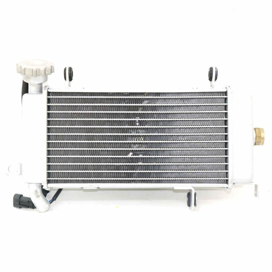 2023 KEEWAY RKF 125 Radiator - 279124460140