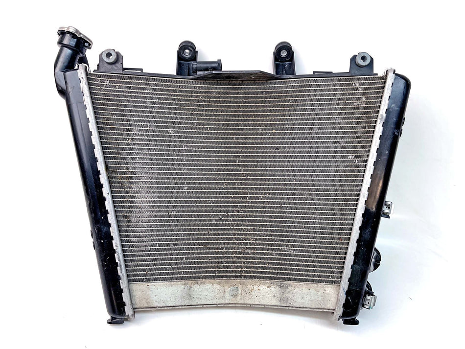2024 BMW S1000RR Sport Radiator  - 17118356804
