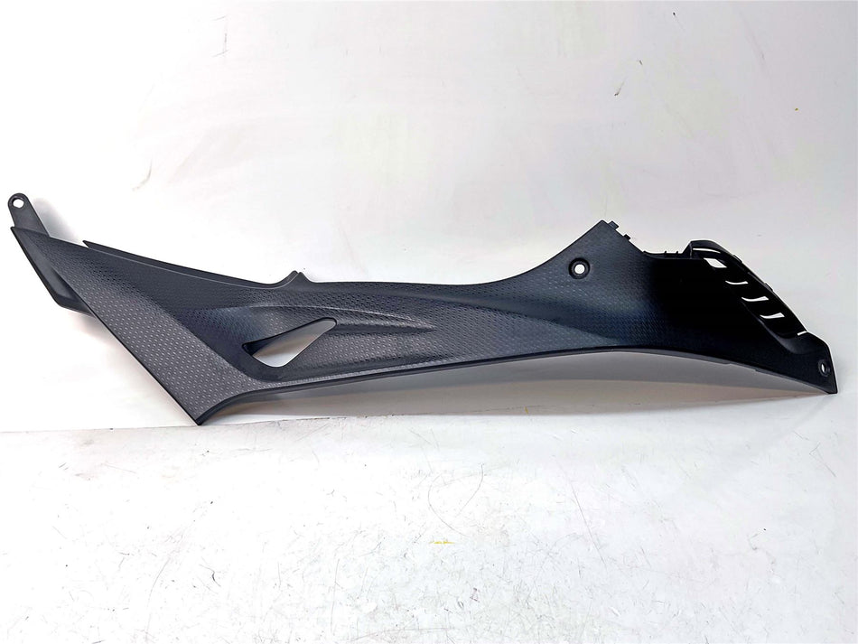 2018 BMW S1000R Right Side Fairing - 46638551926