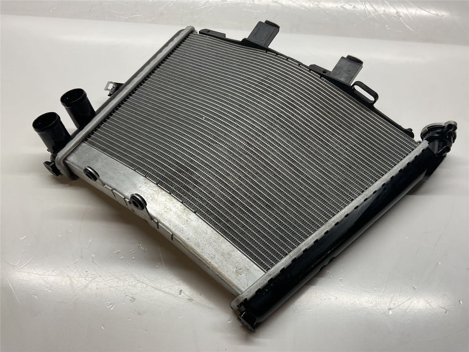 2024 BMW M1000R Radiator  - 17118356804