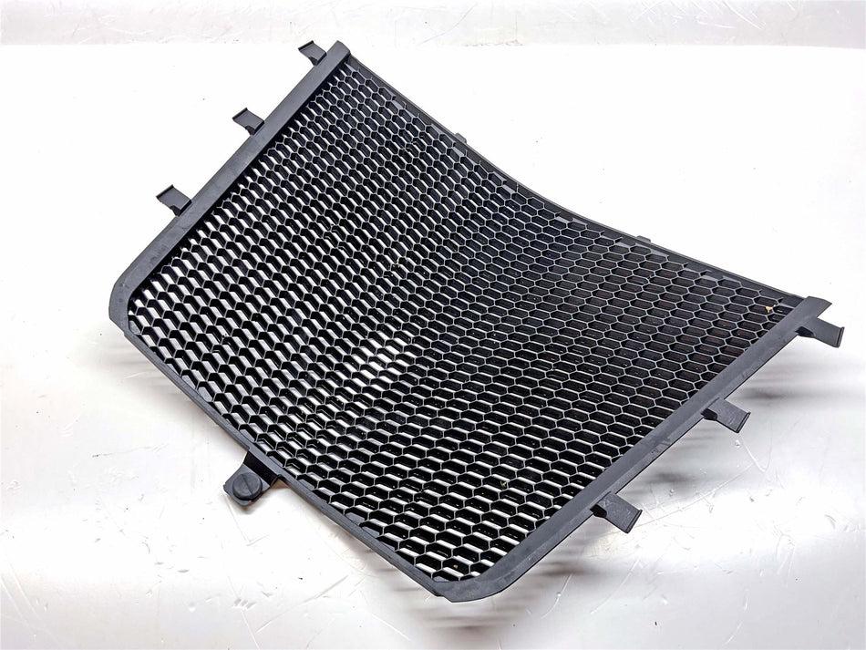 2025 BMW S1000R Sport Radiator Grill  - 77318404072