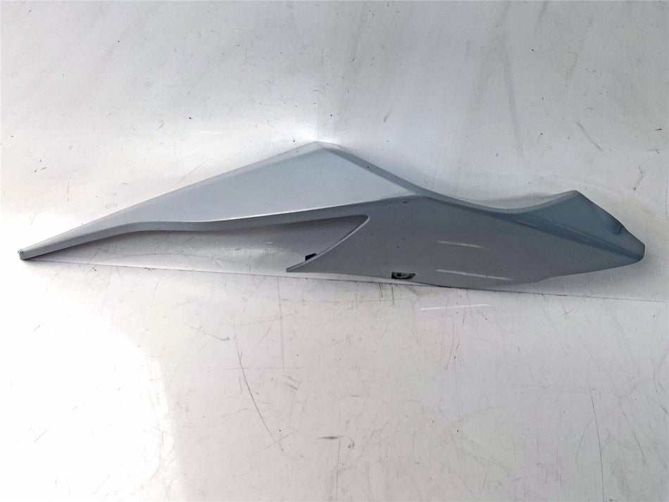 2020 BMW S1000RR Sport Right Tail Fairing - 46628569778