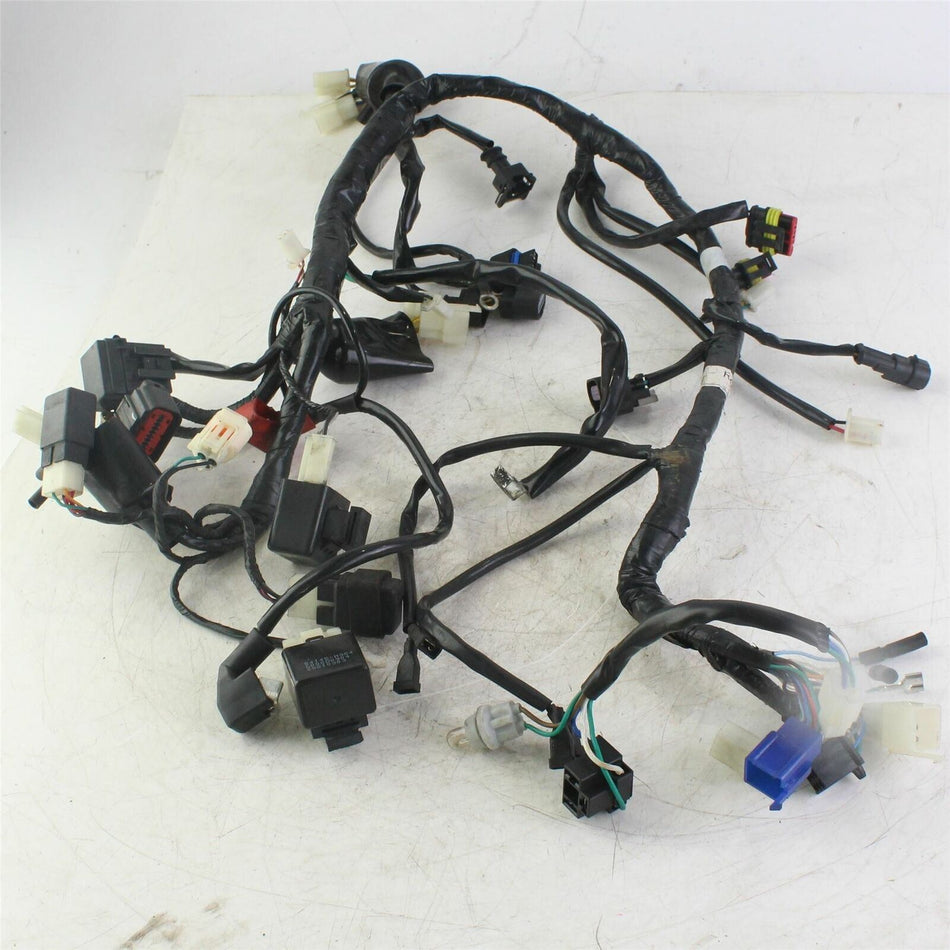 2017-2022 SINNIS HOODLUM 125 Wiring Harness -