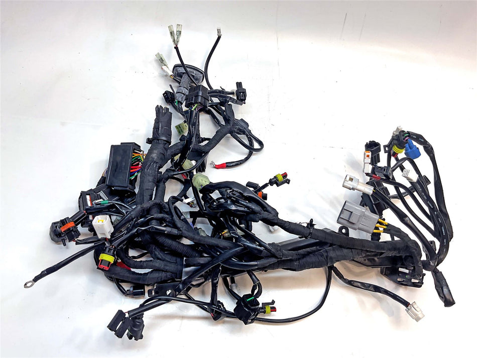 2024 KTM 1290 Super Duke R EVO Wiring Harness Loom - A64111075133