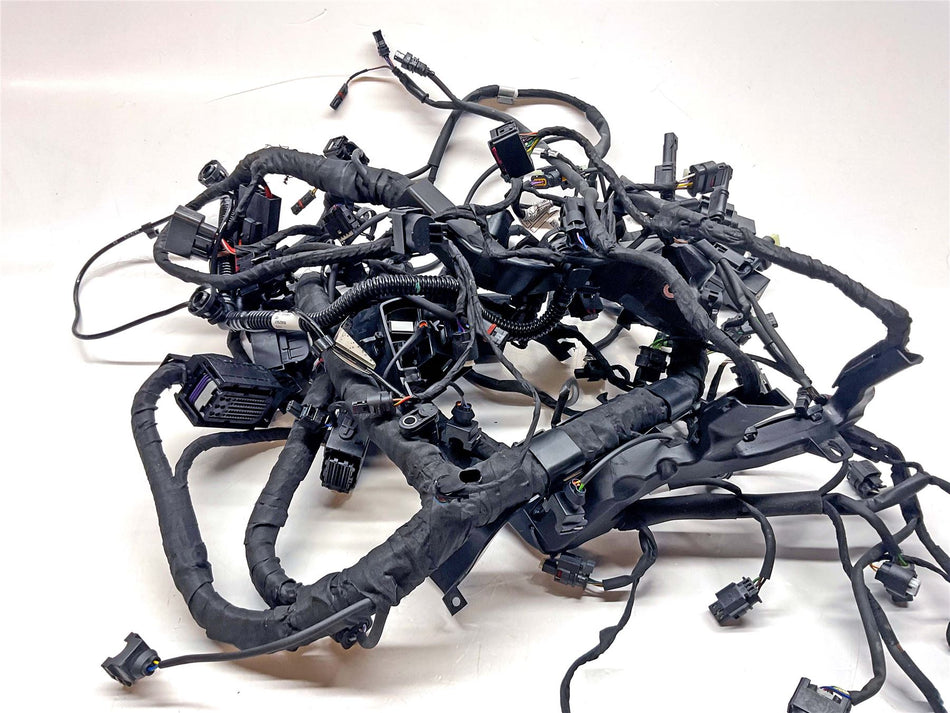 2024 BMW M1000R Main Wiring Harness Loom