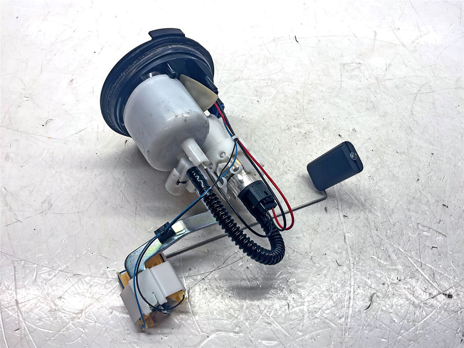 2023 BMW M1000R Fuel-Pump Unit With Level Sensor - 16148414945
