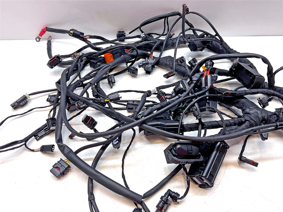 2026 BMW S1000XR Wiring Harness Loom - 61115A79980