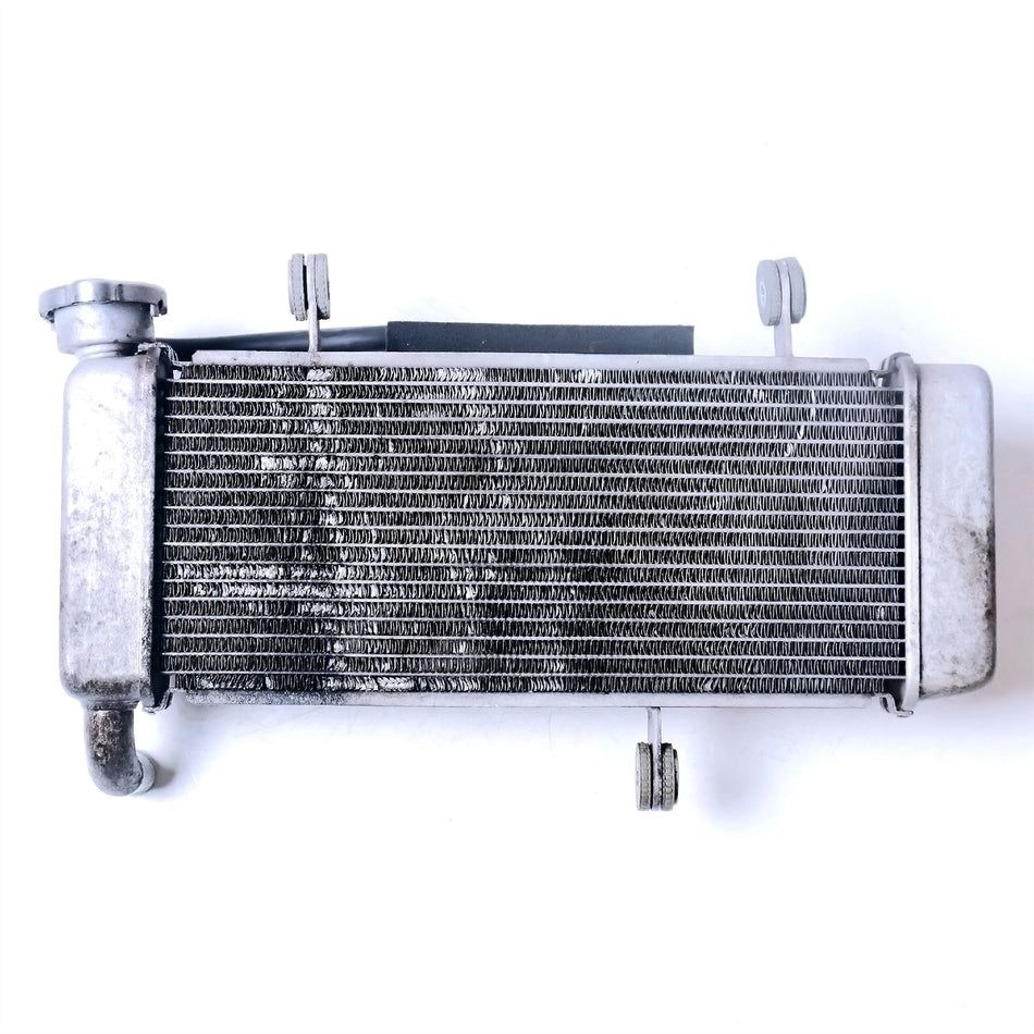 2023 Kawasaki Z125 Radiator With Fan - 390610785