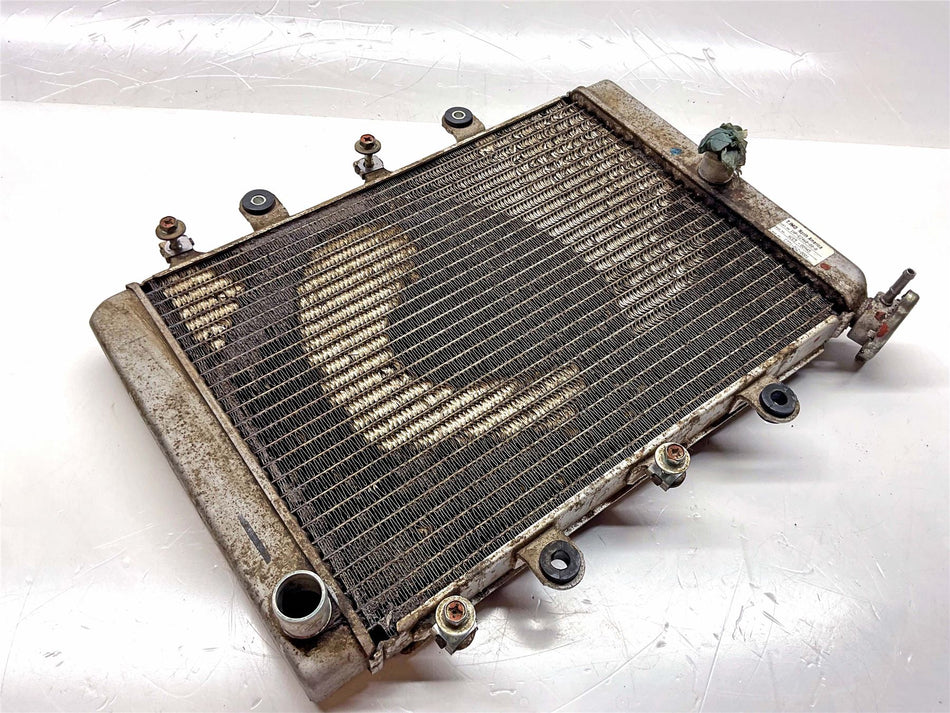 2015 Yamaha Grizzly 550 EPS Radiator - 28P1240A00