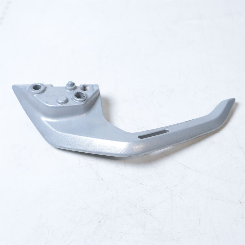 2019 BMW G310R Left Grab Handle - 46548566275