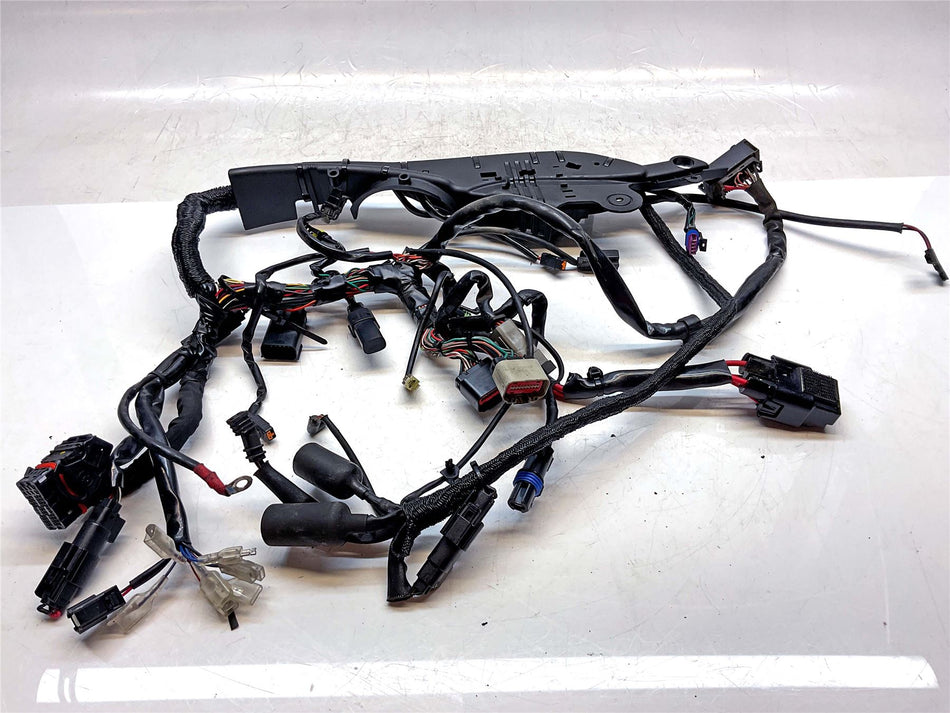 2016 Harley-Davidson Sportster 883 Wiring Harness Loom
