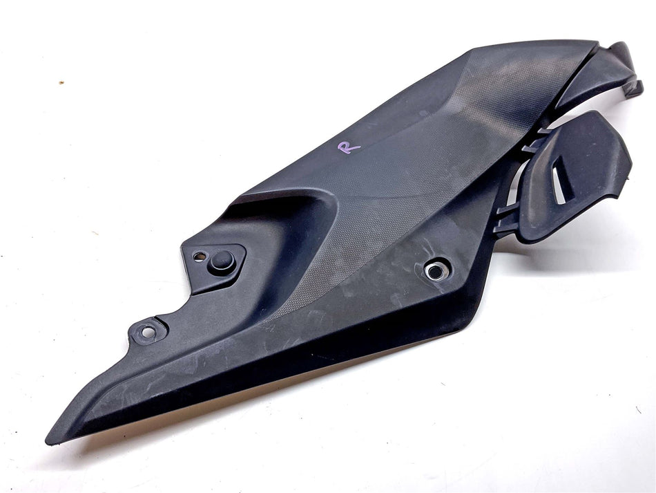 2021 BMW R1250R Lower Right Tank Cover - 46638534274