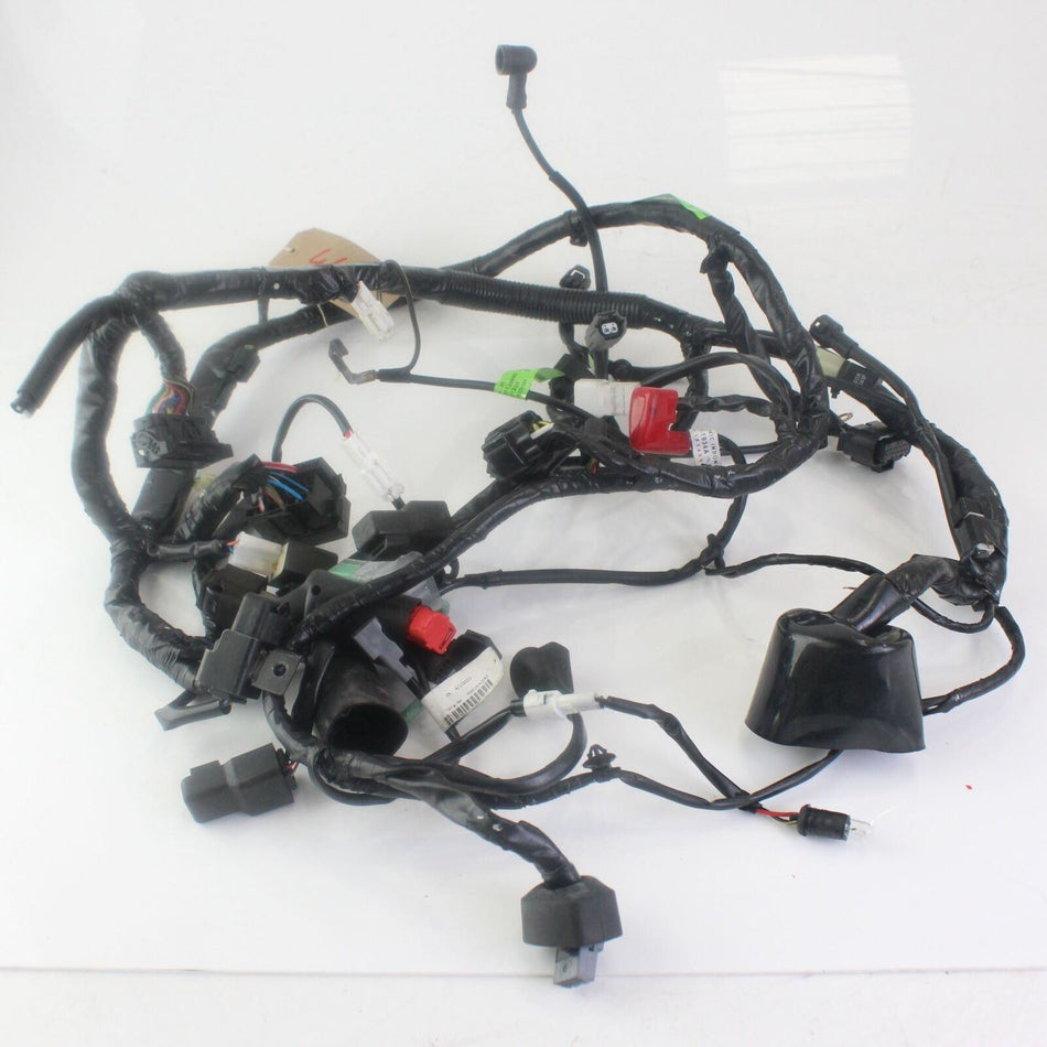 2018-ON KAWASAKI BX 125 NINJA Main Wiring Loom - 260312995