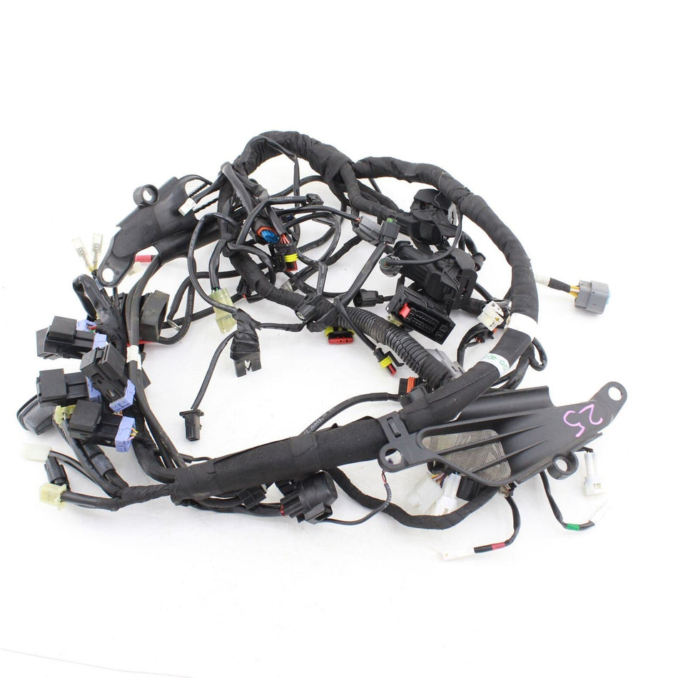 2018-ON KTM 790 DUKE Wiring Harness - 64111075000