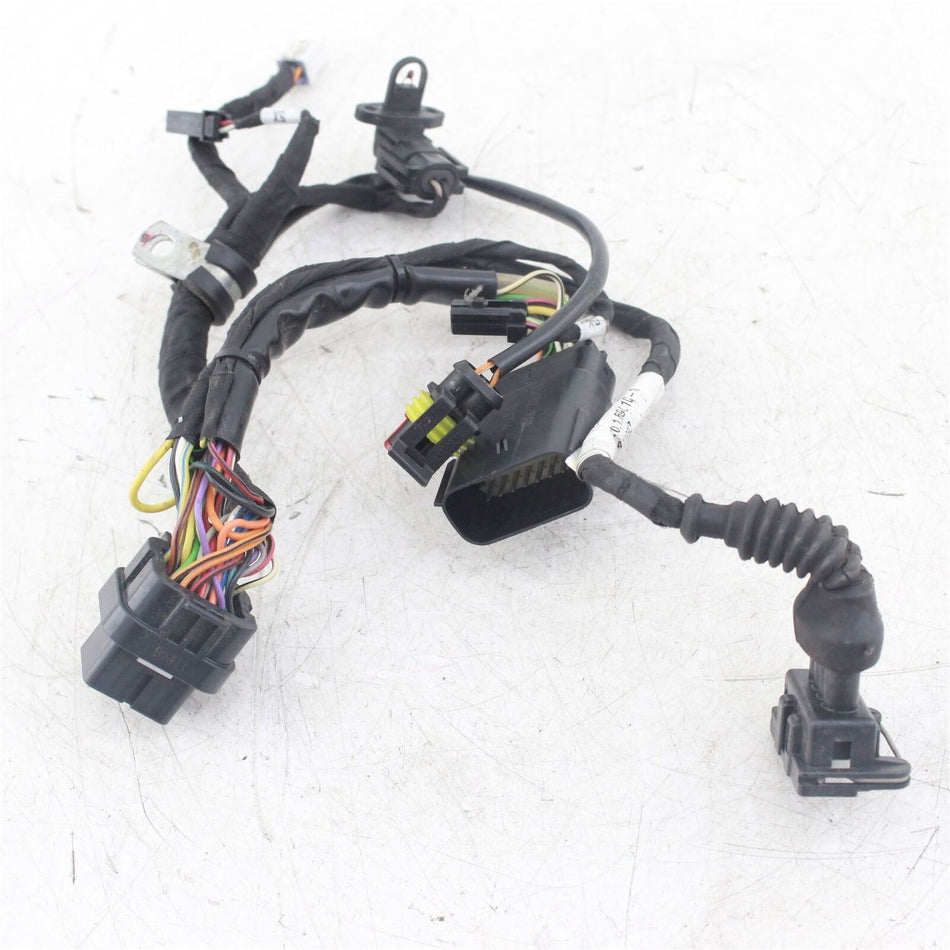 2011-2016 DUCATI 848 STREETFIGHTER Front Wiring Loom - 51016941C