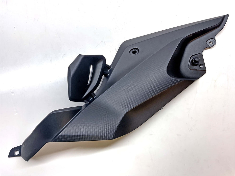 2024 BMW R1250R Right Lower Tank Cover - 46638534274