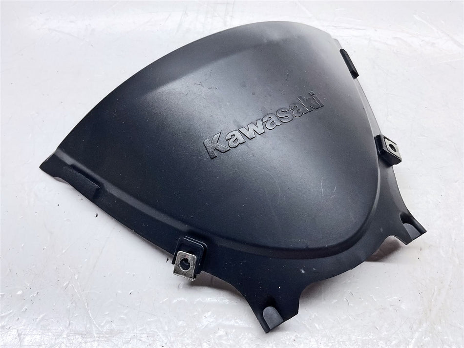 2017 Kawasaki ZZR1400 Speedometer Cover - 14092-0985-6Z