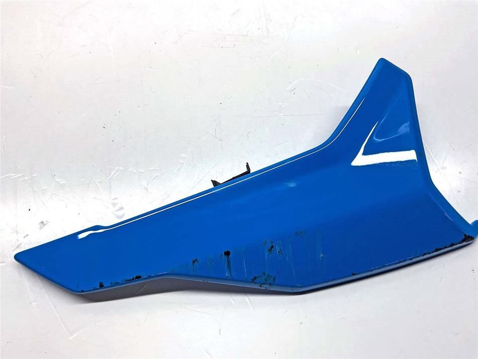 2025 BMW S1000R Sport Right Tail Fairing - 46635B3DD54