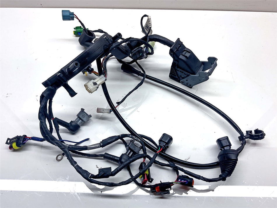 2024 Aprilia RS660 Engine Wiring Loom - 2D000458