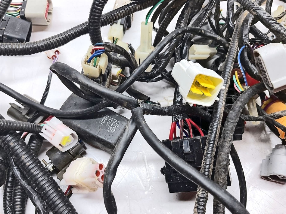 2022 LinHai Quadzilla 300 Main Wiring Harness Loom