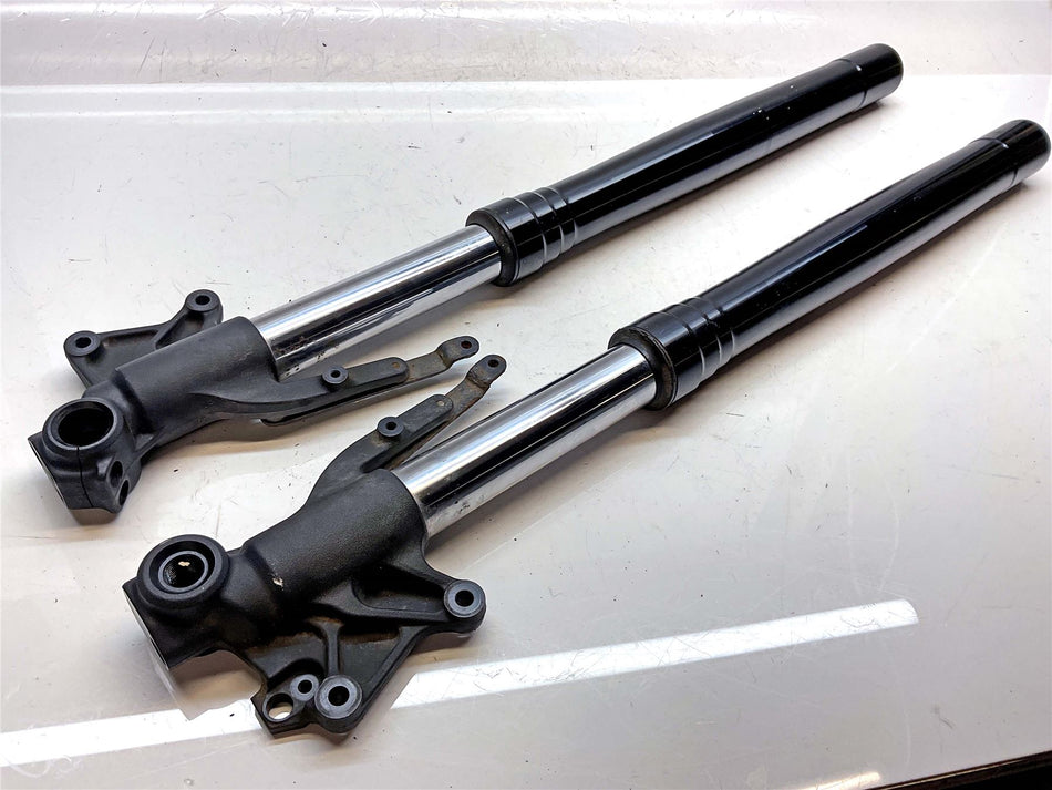 Triumph Tiger 800 Front Forks