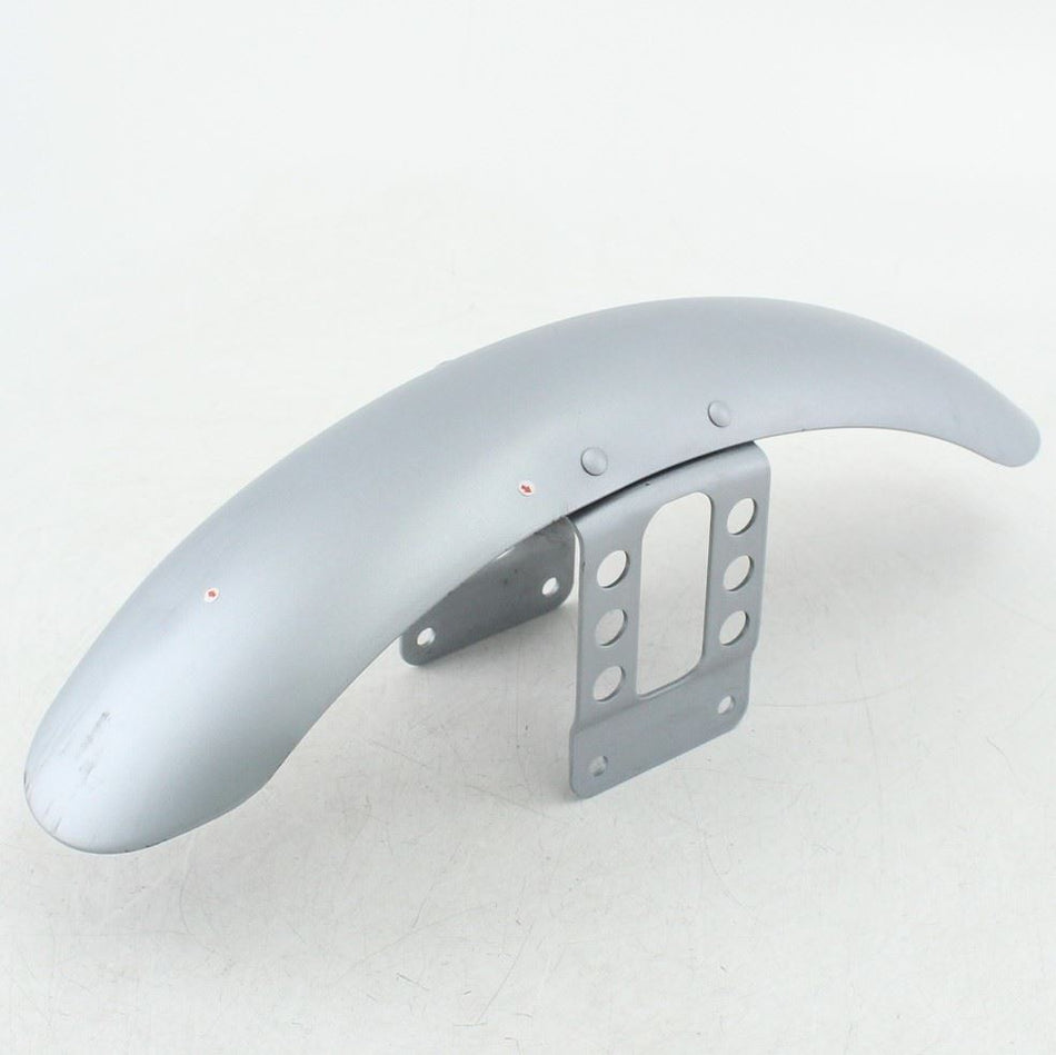 2009-2020 HARLEY-DAVIDSON XL 883 N IRON Front Fender Mudguard - 58900099ENR