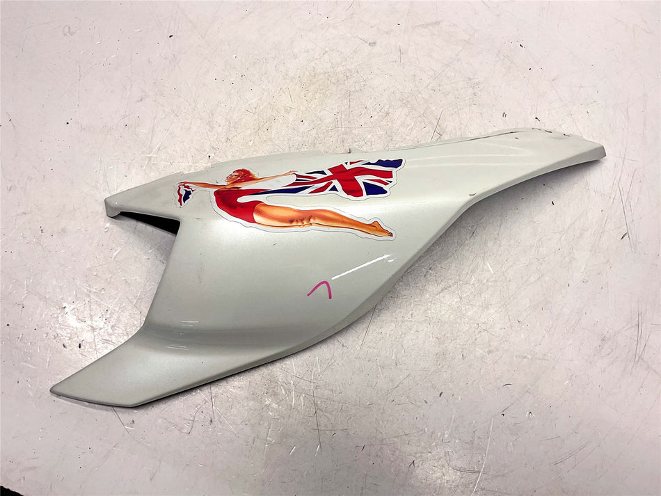 2020 Can-Am Ryker Rally ED 900 Left Side Fairing
