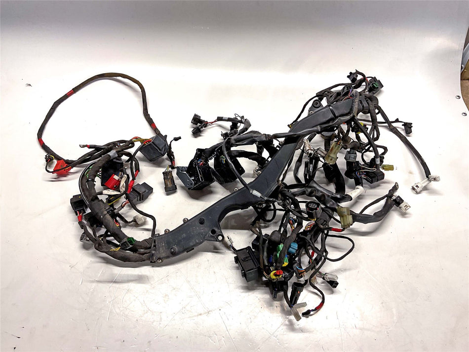 2024 Aprilia Tuareg 660 Wiring Harness Loom - 2D000684