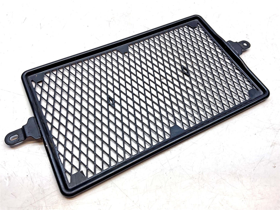 2019 Triumph Speed Twin 1200 Radiator Guard - A9709602