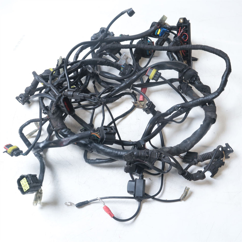 2006 Ducati Monster S2R Main wiring Harness - 51013892A