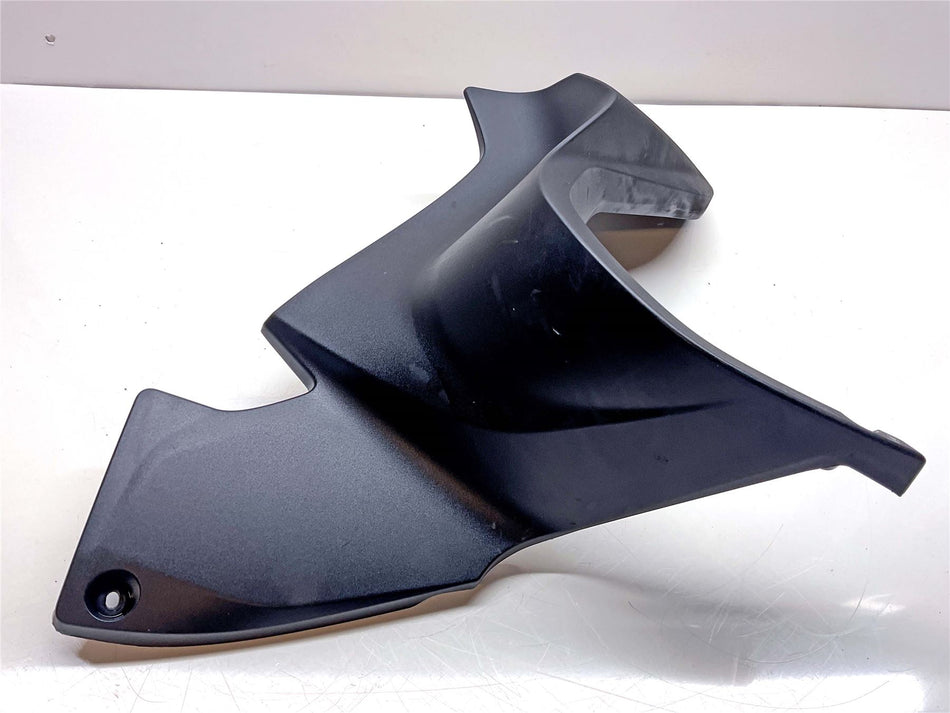 2021 BMW R1250RT Left Engine Spoiler - 46639443405