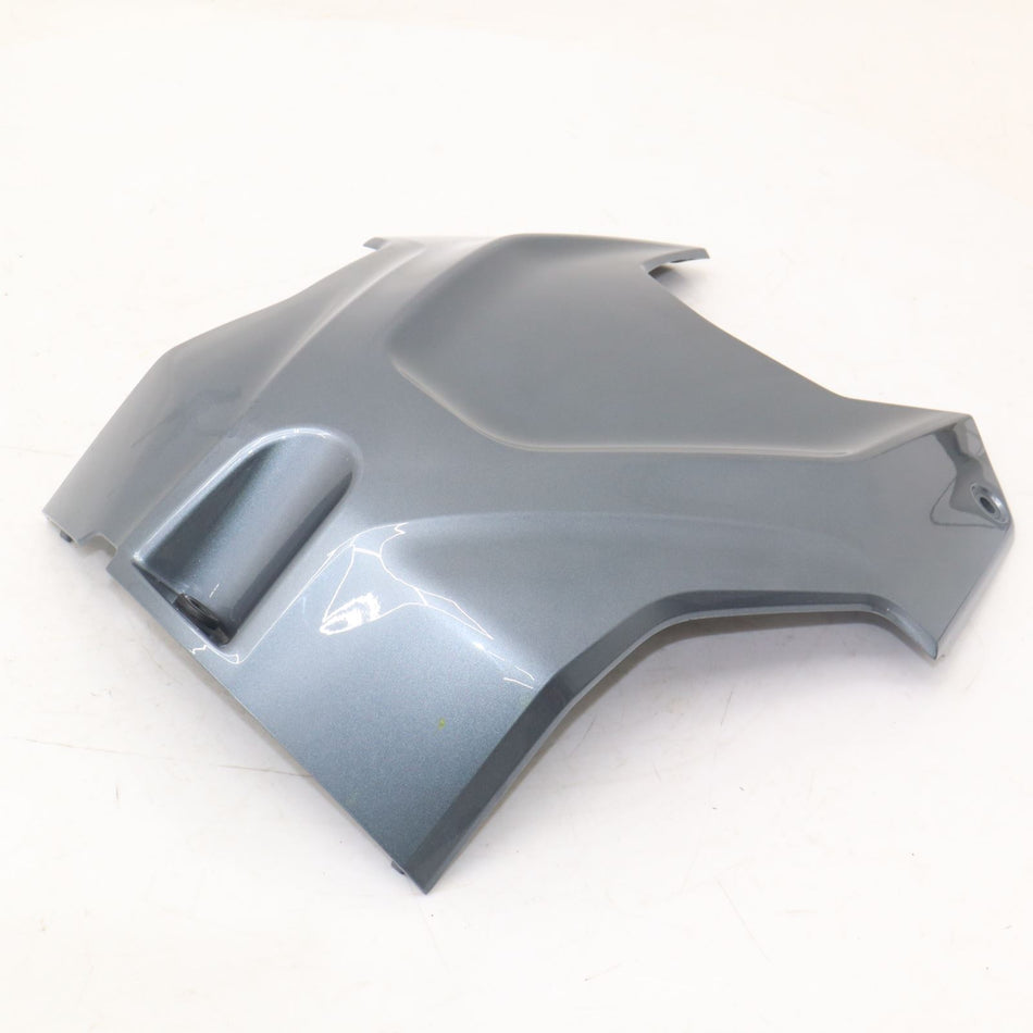 2021-2023 BMW S1000R Sport Airbox Trim Panel - 46638551120