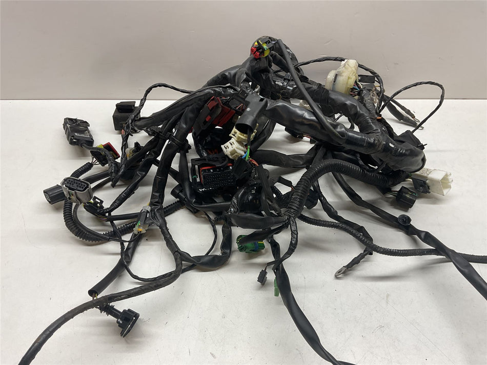 2023 Aprilia SR125 Wiring Harness Loom - 1D003709