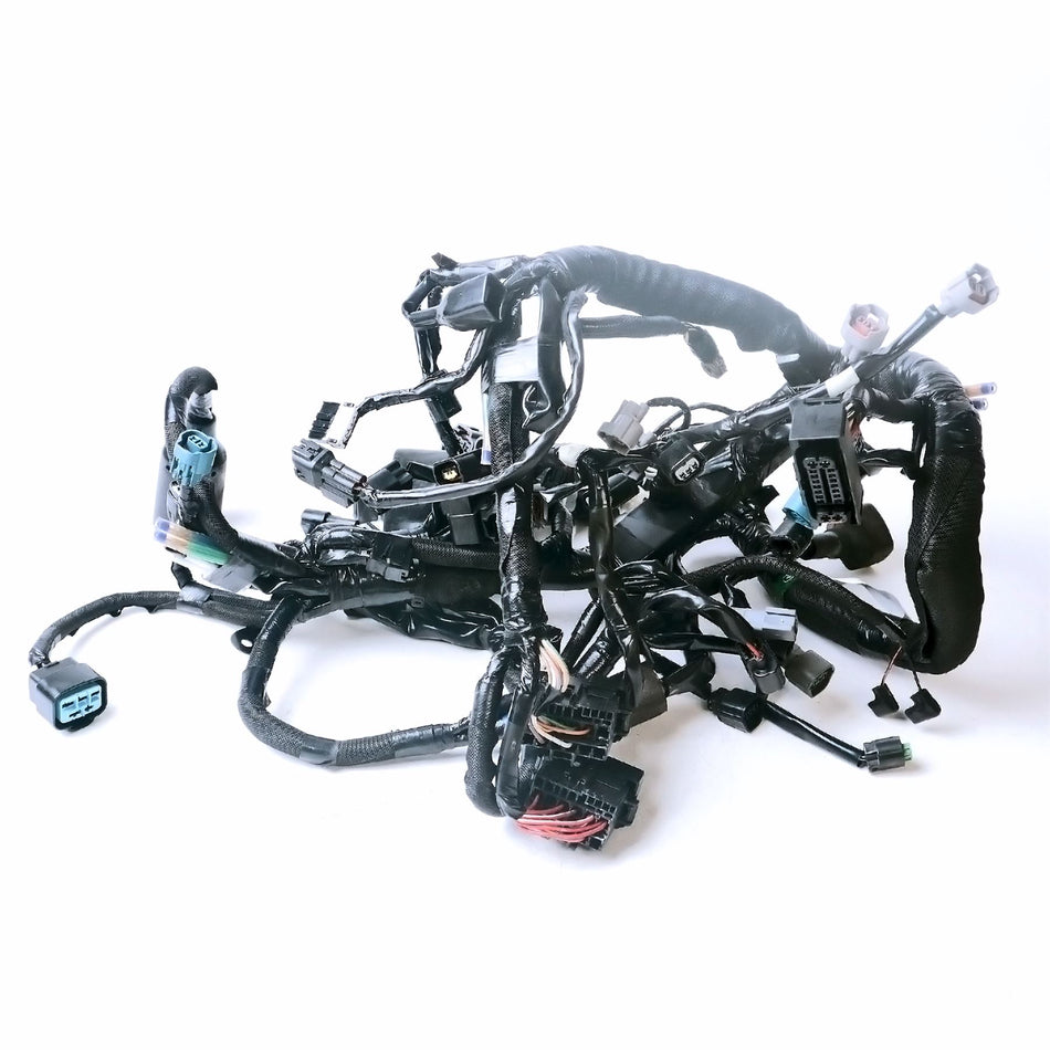 2019 Kawasaki Z1000R Wiring Loom - 260312162