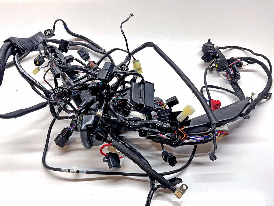 2025 Triumph Speed Triple 1200 Main Harness Loom - T2505179